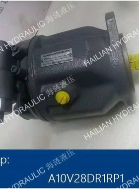 Hydraulic Pump A10V28DR1RP1 crane luffing/hoisting pump油泵