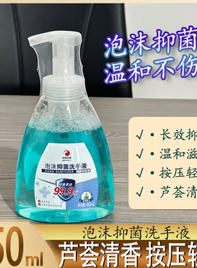 中顺洁柔泡沫抑菌洗手液450ml芦荟清香按压式温和不伤手