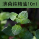欧薄荷精油10ml单方精油新疆伊犁99.99%纯度提神醒脑