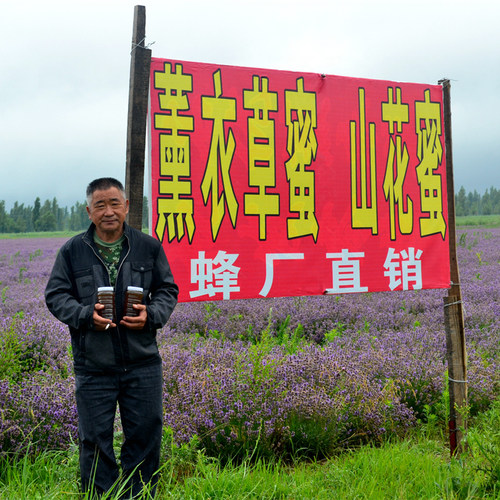 新疆伊犁65团薰衣草蜂蜜500g农家自产1斤正品包邮