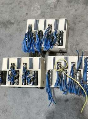 议价拆机施耐德Schneider PLC 模块TM2AVO2HT维修