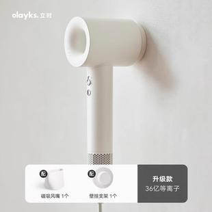OLAYKS立时吹风机家用高速等离子负离子静音大风力恒温护发速干