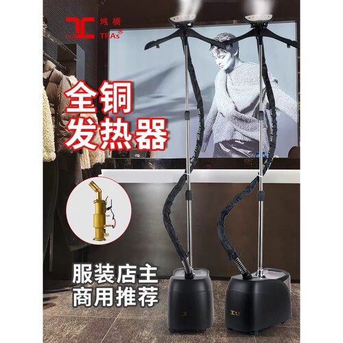 新款域桥家用服装店两档调温立美