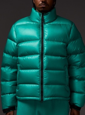 大卫の联名立领公鸭短款加厚纯色羽绒棉服Central Cee同款情侣款