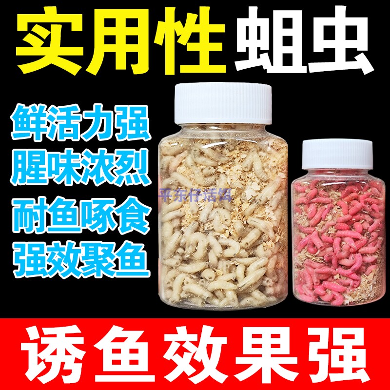 【夏季款赔钱冲量】鲜活钓鱼蛆虫活饵/谷麦饵等饵料