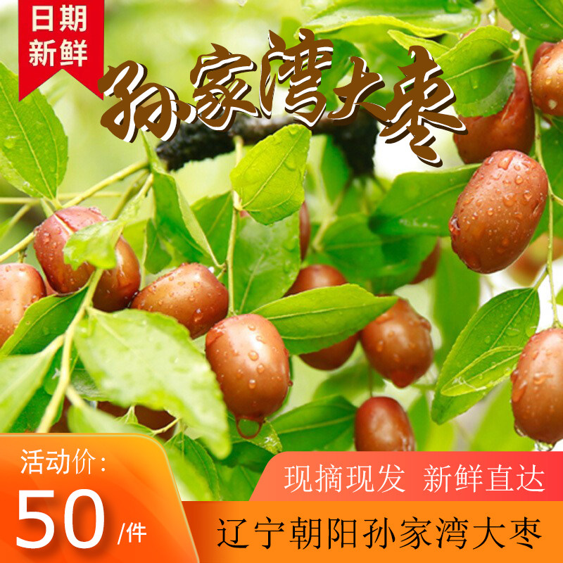 辽宁朝阳孙家湾大枣新鲜水果枣子脆甜红枣 现摘现发大枣5斤