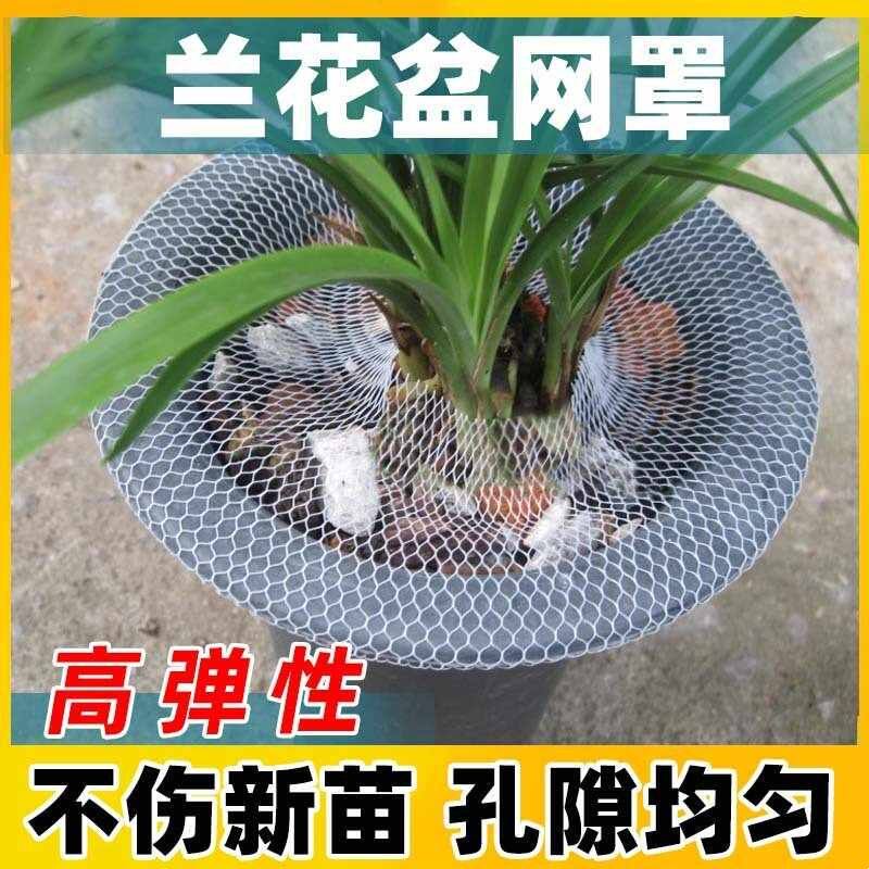 种植兰花网套塑料保护网套罩高弹其它园艺用品