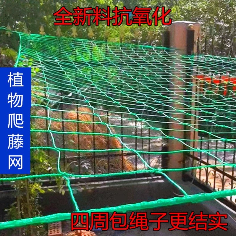 农用植物爬藤网山药豆角丝瓜吊瓜苦瓜黄瓜百香果专用种植物攀爬网 鲜花速递/花卉仿真/绿植园艺 其它园艺用品 原图主图