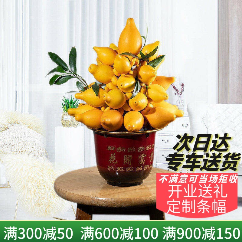 梦邦黄金果盆栽室内客厅植物观果绿植百香果乳茄年宵花过年花卉