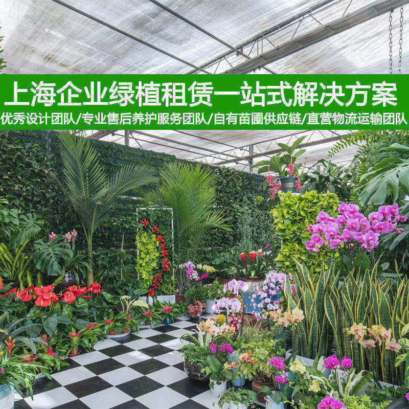 梦邦上海绿植租赁办公室植物租摆公司植物墙盆栽绿化上门养护服务