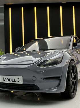 新款 XLG合金车模1比24特斯拉model3声光玩具汽车音乐模型摆件