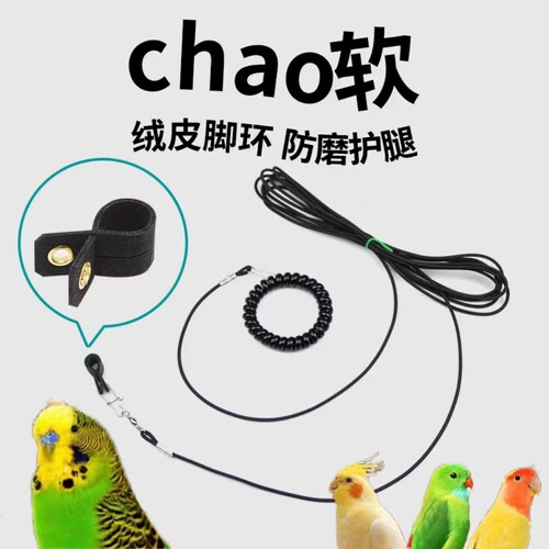 虎皮牡丹玄风鹦鹉八哥放飞绳