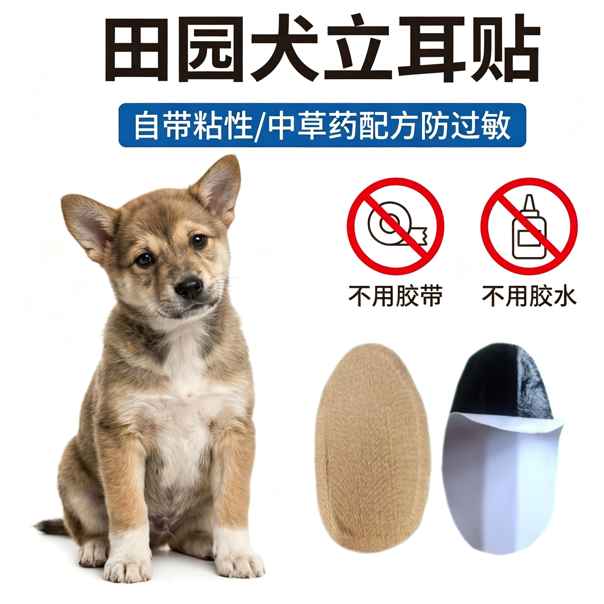 中华田园犬专用立耳神器图片