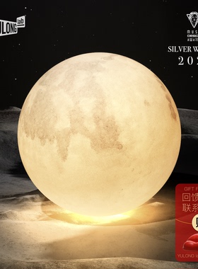 白敬亭同款Yulong Lab黄玉龙月亮灯暖月灯月球灯手工落地灯吊灯