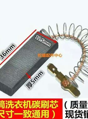 适用西门子EXTRA1550/Silver4108/1095/2205滚筒洗衣机电机碳刷