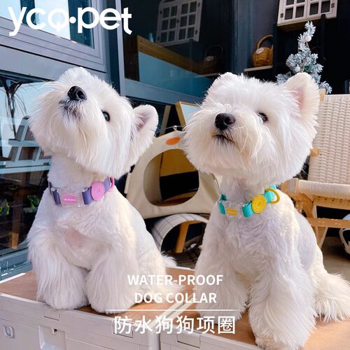 宠物项圈防水狗狗项圈脖圈
