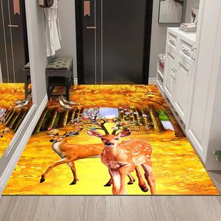 加厚硅藻泥吸水地垫入户门垫进门口专用2025新款速干防滑脚垫地毯