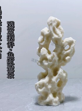 台湾吴定石上水石吸水石金钱菖蒲盆附石捕虫堇盆鱼缸造景绿植摆件