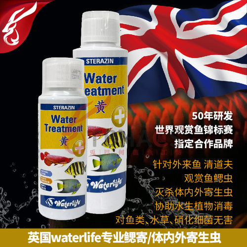 英国专业体内吸虫烂鳃生态水族