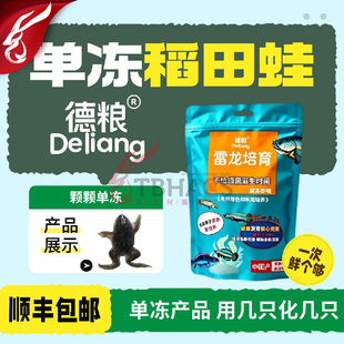 德粮稻田蛙龙鱼雷龙鱼专用冷冻饲料单冻营养全发色塑体促生长顺丰