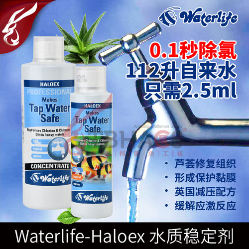 超浓缩配方进口性价比王者