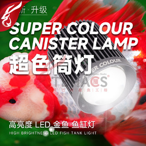 马印全光谱增色爆藻筒灯