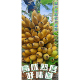 精选广西苹果蕉粉蕉大果蛋蕉新鲜香蕉水果净重苹果粉蕉香甜粉糯