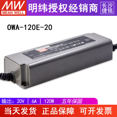 台湾明纬OWA-120E-20美规20V6A120W防水LED电源适配器