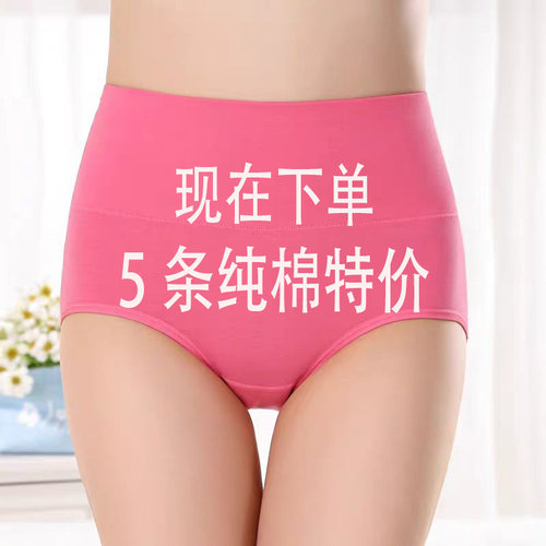 5条特内裤女纯棉高腰收腹纯色提臀女士短裤头胖mm透气大码三角裤
