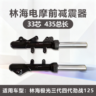 33芯适用鹿城林海极光三代四代目劲战125电摩左碟避震器前叉减震