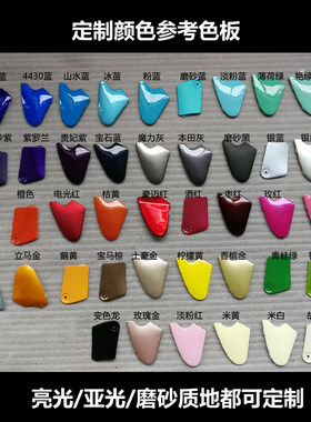 电动摩托车F6烤漆定制外壳专拍