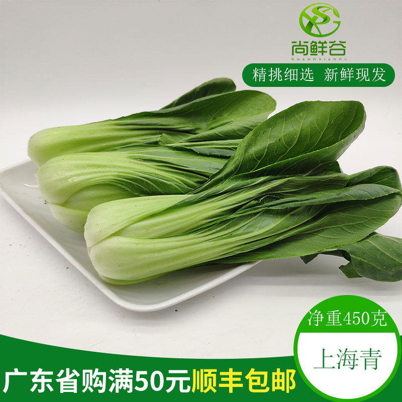 精选新鲜无公害蔬菜上海青 油菜白菜小棠菜广州深圳新鲜配送 450g
