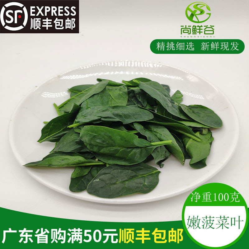 新鲜西餐菜小菠菜 迷你菠菜仔 菠菜叶西餐沙拉菜 babyspinach100g