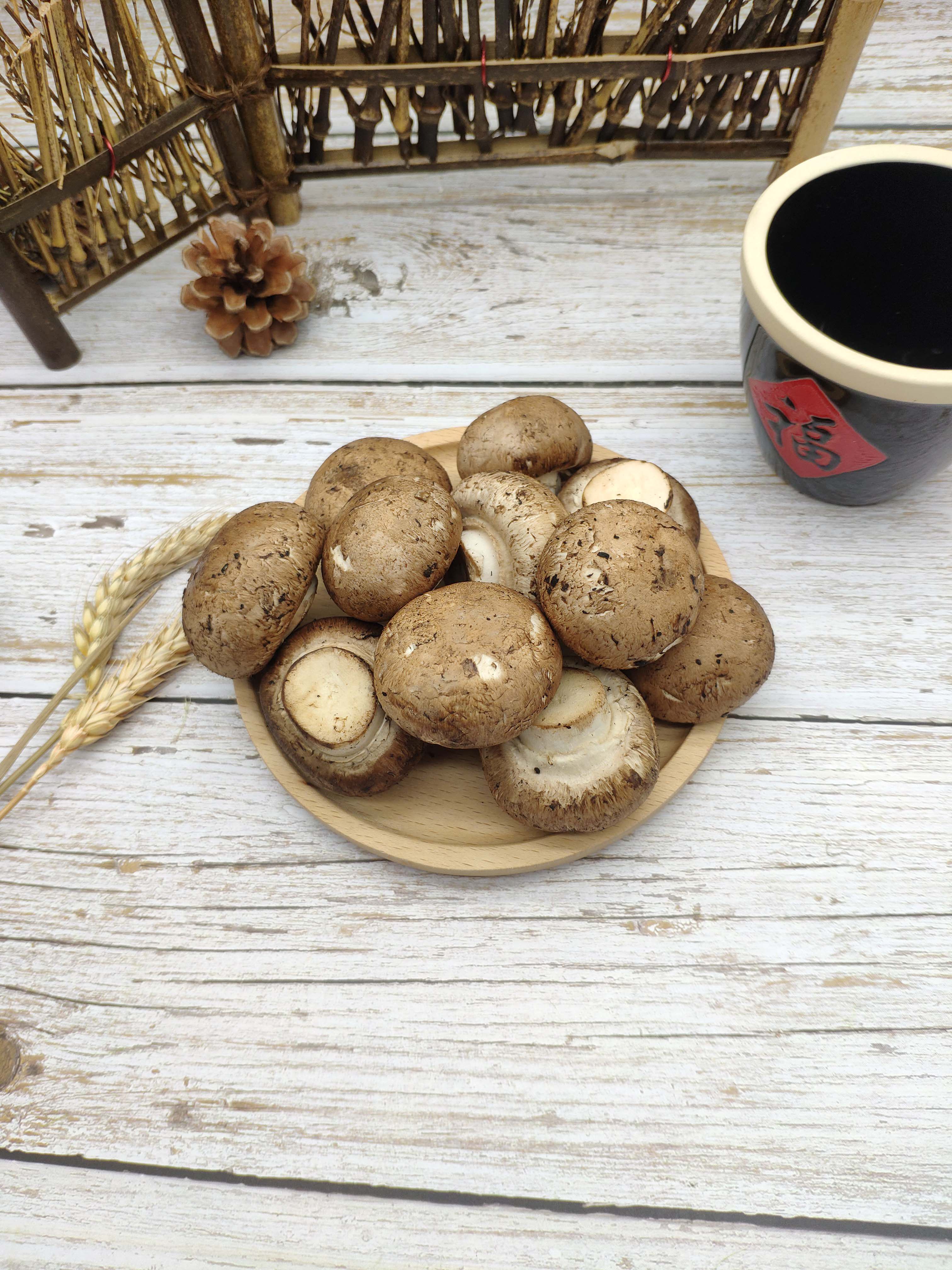 新鲜 牛排菇 小褐菇 小啡菇 食用菌类蘑菇香菇珍宝菇1斤(2-4公分