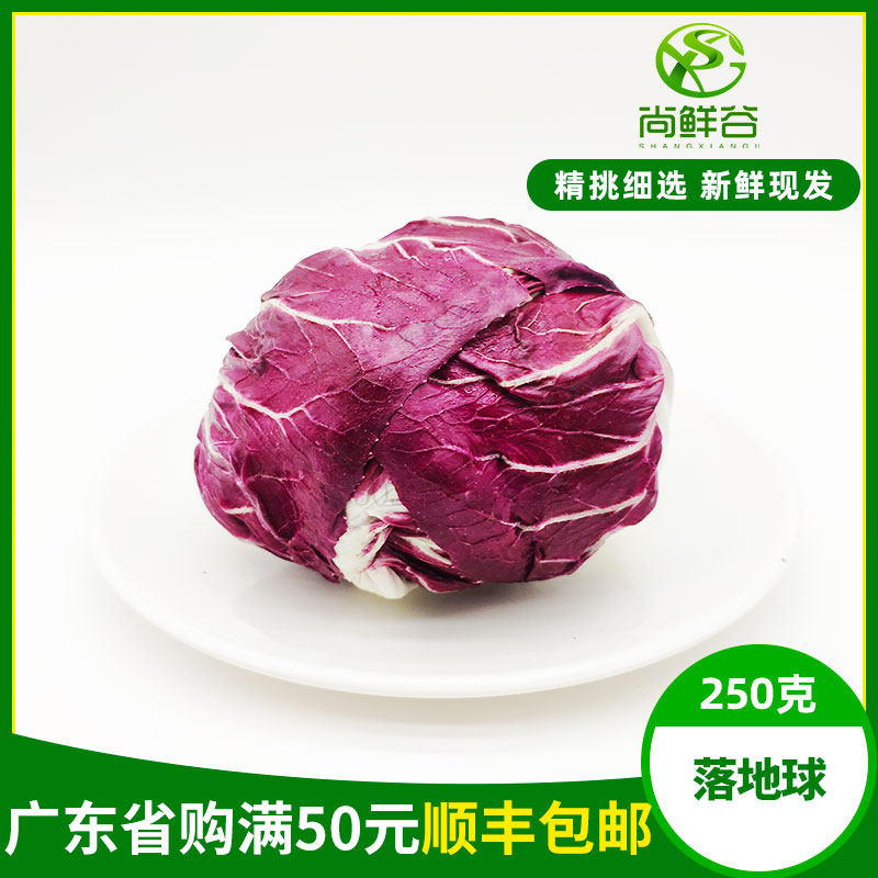新鲜蔬菜落地球生菜 意大利红菊苣 紫苣 红杂 沙拉菜 250g 红生菜
