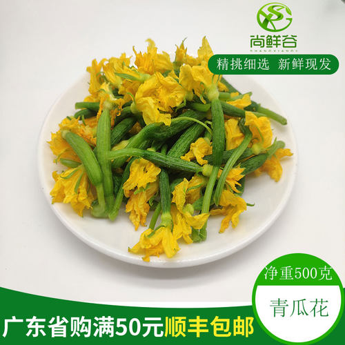 小黄瓜花素材模板 小黄瓜花图片下载 小麦优选