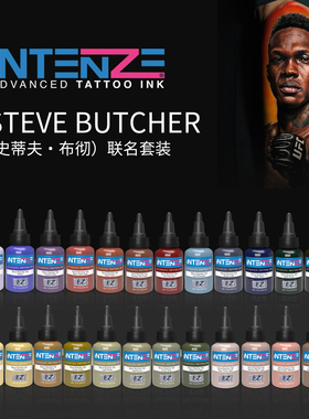 Steve Butcher（史蒂夫·布彻）联名套装-24色银单丝纹身彩色色料