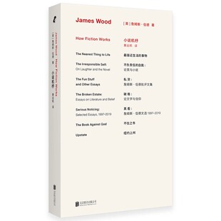 小说机杼 詹姆斯伍德代表作经典再版 文学阅读入门书 揭秘现代小说运作规律 文学理论书籍  北京联合出版公司