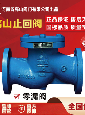 高山牌铸钢升降止回阀H41H-40C64C高温高压卧式法兰止回阀DN80100