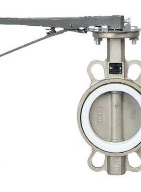 手柄不锈钢蝶阀D71F-16P 涡轮四氟全不锈钢304/316/316L蝶阀DN100