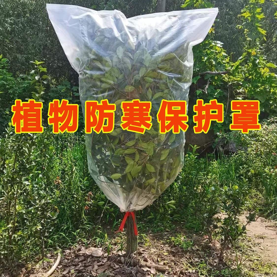 植物防寒保温罩花卉绿植盆栽过冬防冻保护套果树苗木防冻塑料薄膜