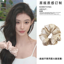 迪迪不畏同款kitsch枕头大肠发圈女高级感缎面睡眠卷发神器大号