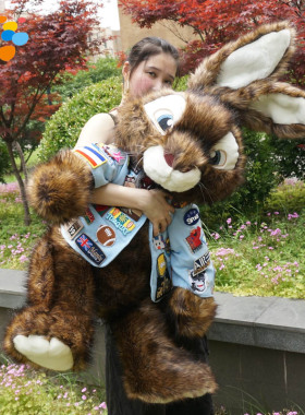 3dwater毛绒玩具-大号 彼得兔 超级礼物霸道生肖兔圣诞礼物