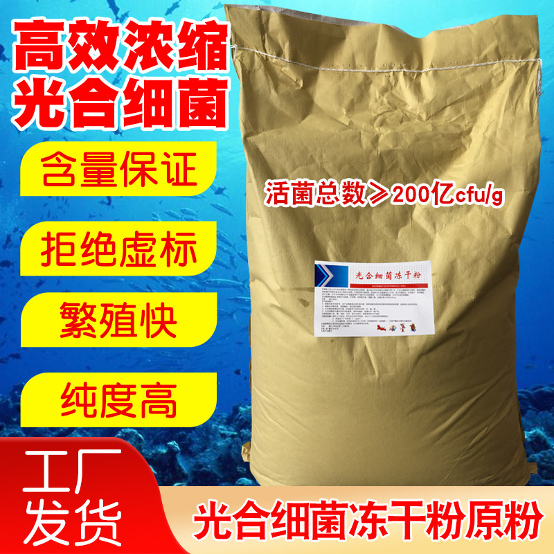 光合细菌菌种水产养殖浓缩粉虾蟹