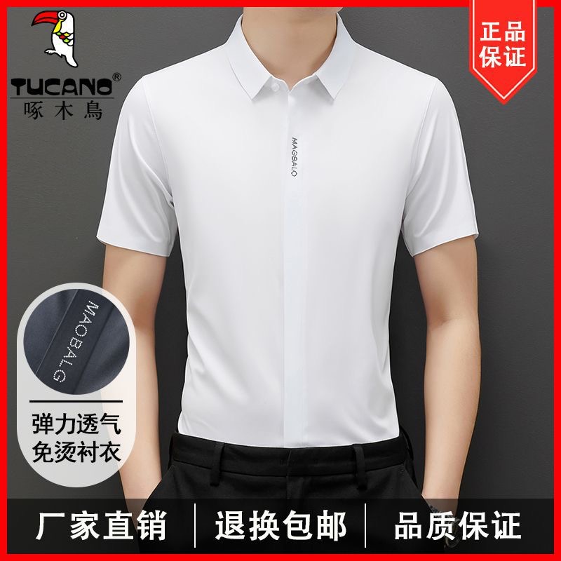 方领短袖啄木啄木鸟夏季冰