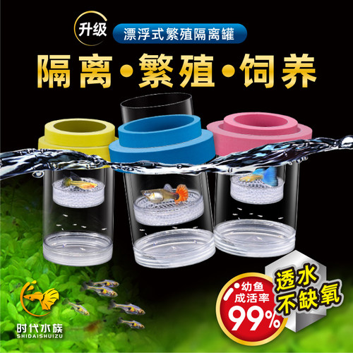 【繁殖隔离盒孔雀斑马鱼通用】