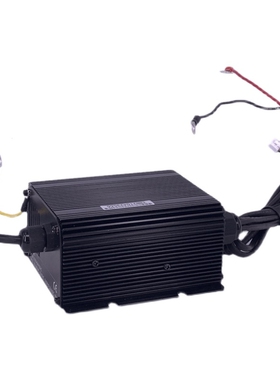 电动叉车搬运车林德MT15C中力153充电器充电机ESCH24V10A原装配件