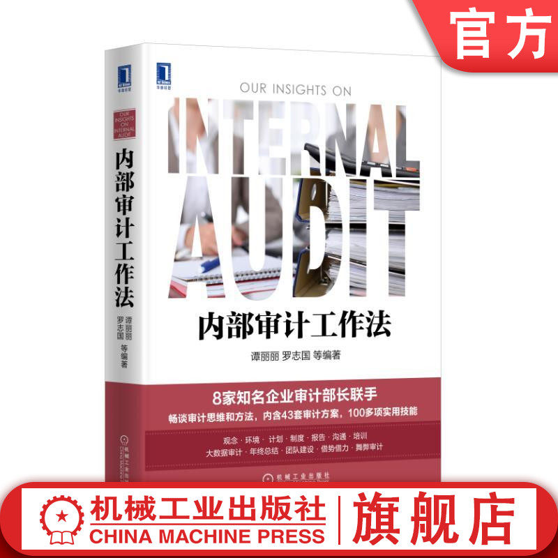 官网正版 内部审计工作法 谭丽丽 罗志国 营造内部设计环境 编制审计计划 反舞弊审计 大数据运用 审计报告撰写和沟通 内审案例