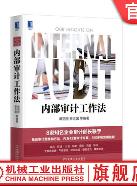 官网正版 内部审计工作法 谭丽丽 罗志国 营造内部设计环境 编制审计计划 反舞弊审计 大数据运用 审计报告撰写和沟通 内审案例