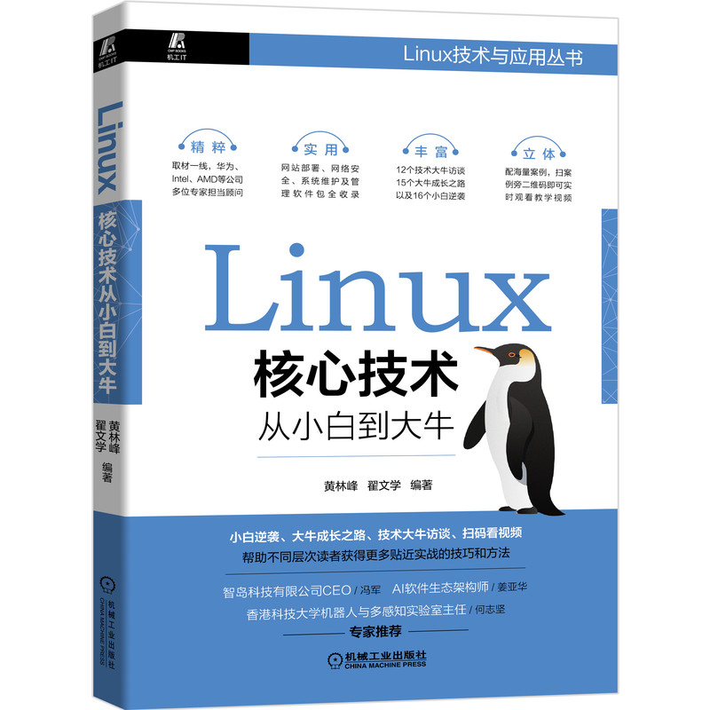 Linux核心技术从小白到大牛 黄林峰 翟文学 Linux Shell  网站部署 安全 脚本 路由管理 系统设置与维护